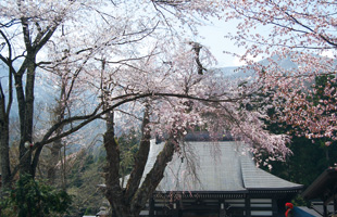 塩の道祭り