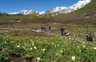 Hakuba Alps Hana-Zanmai